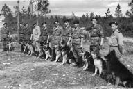 Tancos 1961-62 - Os cães de guerra 